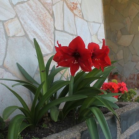 Pension Riego De Ambros Εξωτερικό φωτογραφία