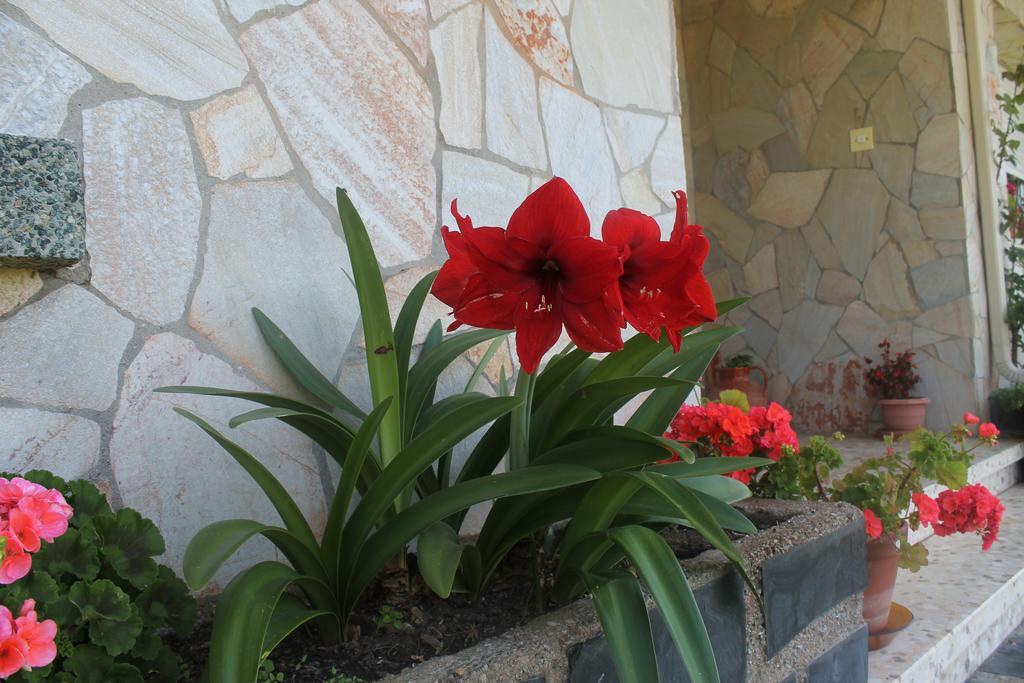Pension Riego De Ambros Εξωτερικό φωτογραφία